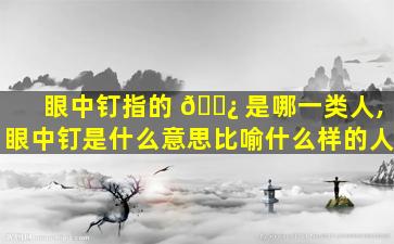 眼中钉指的 🌿 是哪一类人,眼中钉是什么意思比喻什么样的人